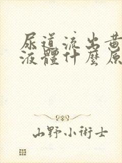 尿道流出黄色的液体什么原因