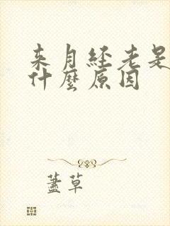 来月经老是想尿什么原因