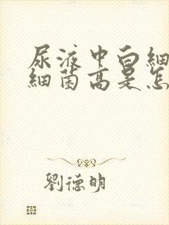 尿液中白细胞和细菌高是怎么回事