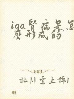 iga肾病是怎么形成的