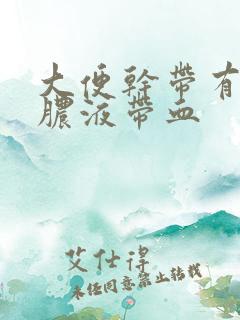 大便干带有粘的脓液带血