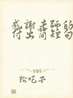 感谢老师的辛勤付出简短句子