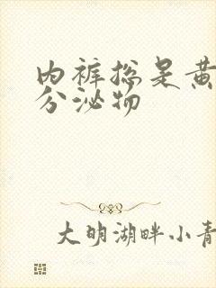 内裤总是黄色的分泌物