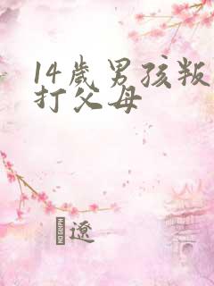 14岁男孩叛逆打父母