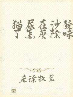 猫尿在沙发上干了怎么除味啊