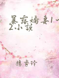 暴露娇妻1～12小说