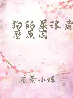 狗的尿很黄是什么原因