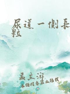 尿道一侧长小肉粒