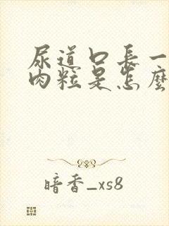 尿道口长一些小肉粒是怎么回事啊