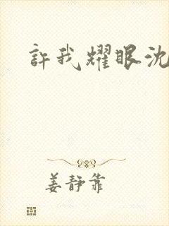 许我耀眼沈浩明