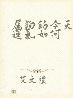 属狗的今天打牌运气如何