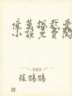 亿万总裁爱上我小说免费阅读