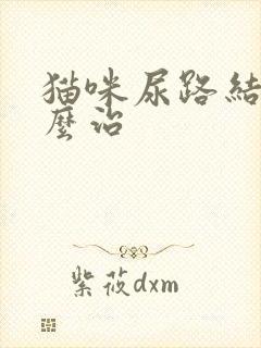 猫咪尿路结晶怎么治