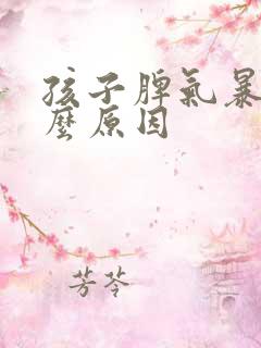 孩子脾气暴躁什么原因