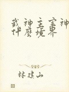 武神主宰神帝是什么境界