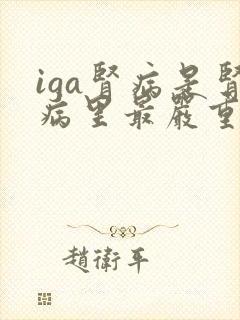 iga肾病是肾病里最严重的吗