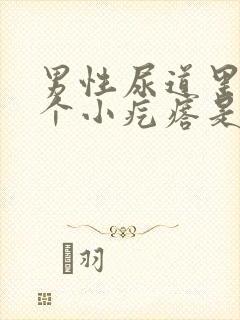 男性尿道里有一个小疙瘩是怎么回事