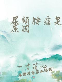 尿频腰痛是什么原因