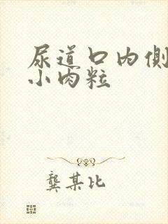 尿道口内侧长有小肉粒