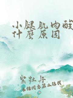 小腿肌肉酸痛是什么原因