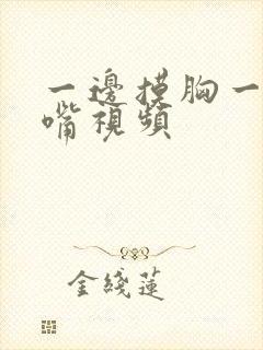 一边摸胸一边亲嘴视频