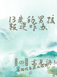 13岁的男孩子叛逆咋办