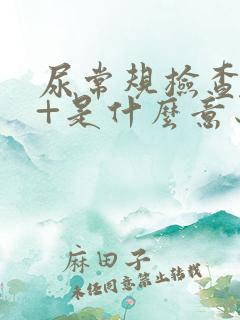 尿常规检查潜血+是什么意思