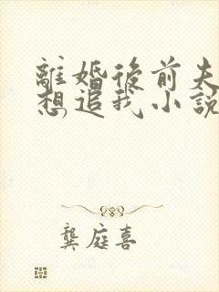 离婚后前夫总是想追我小说完整版