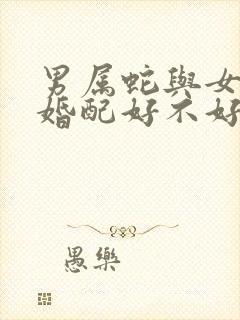 男属蛇与女属虎婚配好不好