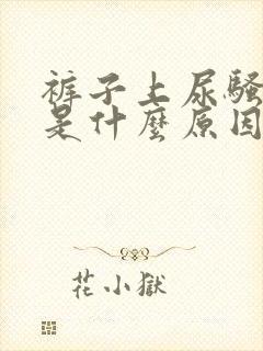 裤子上尿骚味重是什么原因