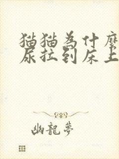 猫猫为什么乱拉尿拉到床上