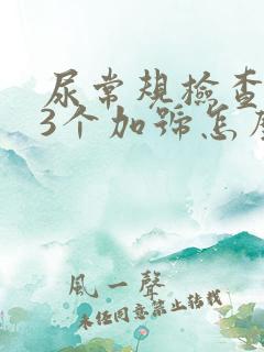 尿常规检查隐血3个加号怎么回事