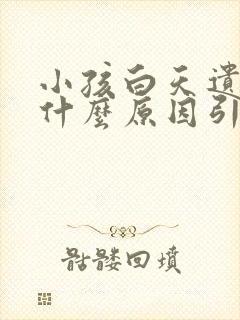 小孩白天遗尿是什么原因引起的