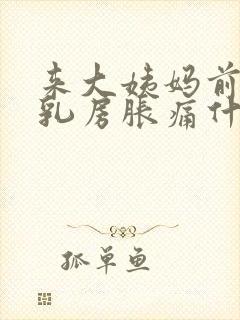 来大姨妈前几天乳房胀痛什么原因