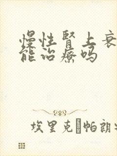 慢性肾上衰竭还能治疗吗