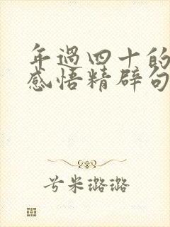 年过四十的人生感悟精辟句子