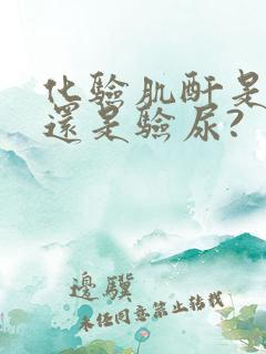 化验肌酐是验血还是验尿?