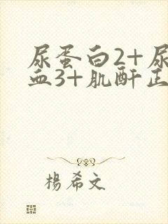 尿蛋白2+尿潜血3+肌酐正常