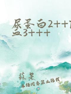 尿蛋白2++隐血3+++