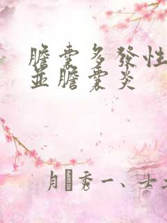 胆囊多发性结石并胆囊炎