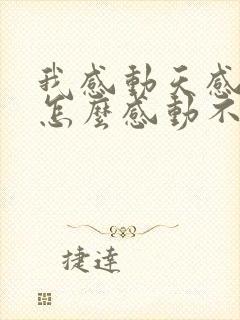 我感动天感动地怎么感动不了你歌词