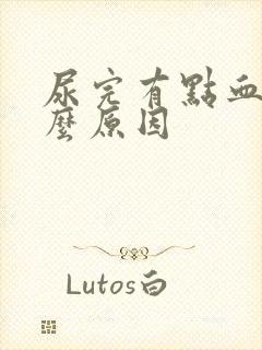 尿完有点血是什么原因