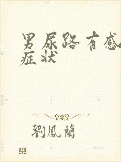 男尿路有感染的症状