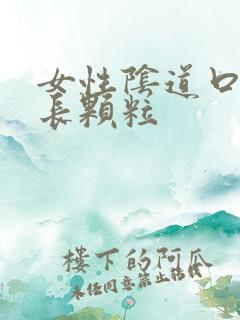 女性阴道口旁边长颗粒