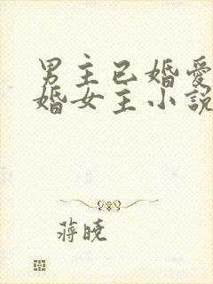 男主已婚爱上未婚女主小说