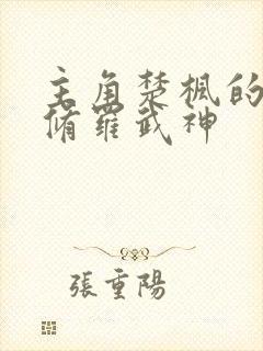 主角楚枫的小说修罗武神