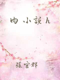 肉 小说 h