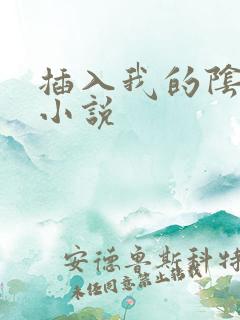 插入我的阴道 小说