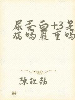 尿蛋白+3是肾病吗严重吗