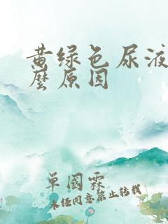 黄绿色尿液是什么原因